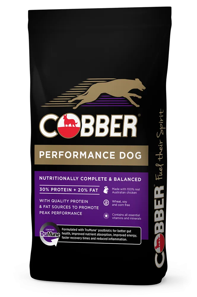 Cobber Performance Dog 20kg
