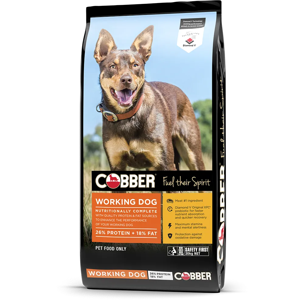 Cobber Working Dog 20kg