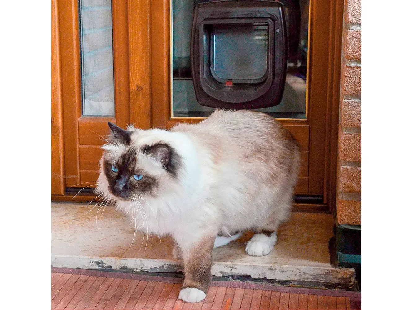 Swing Microchip White